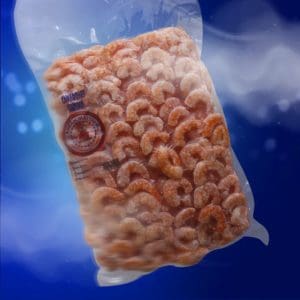 Camarón Precocinados